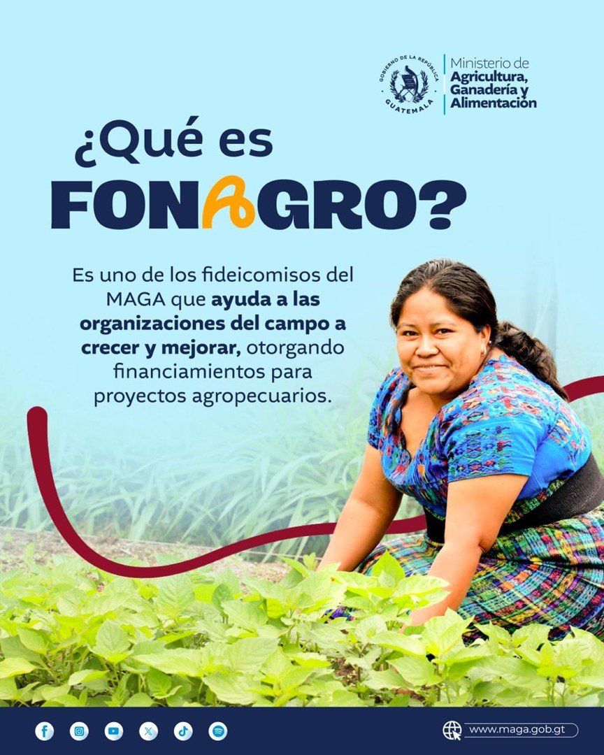Imagen1