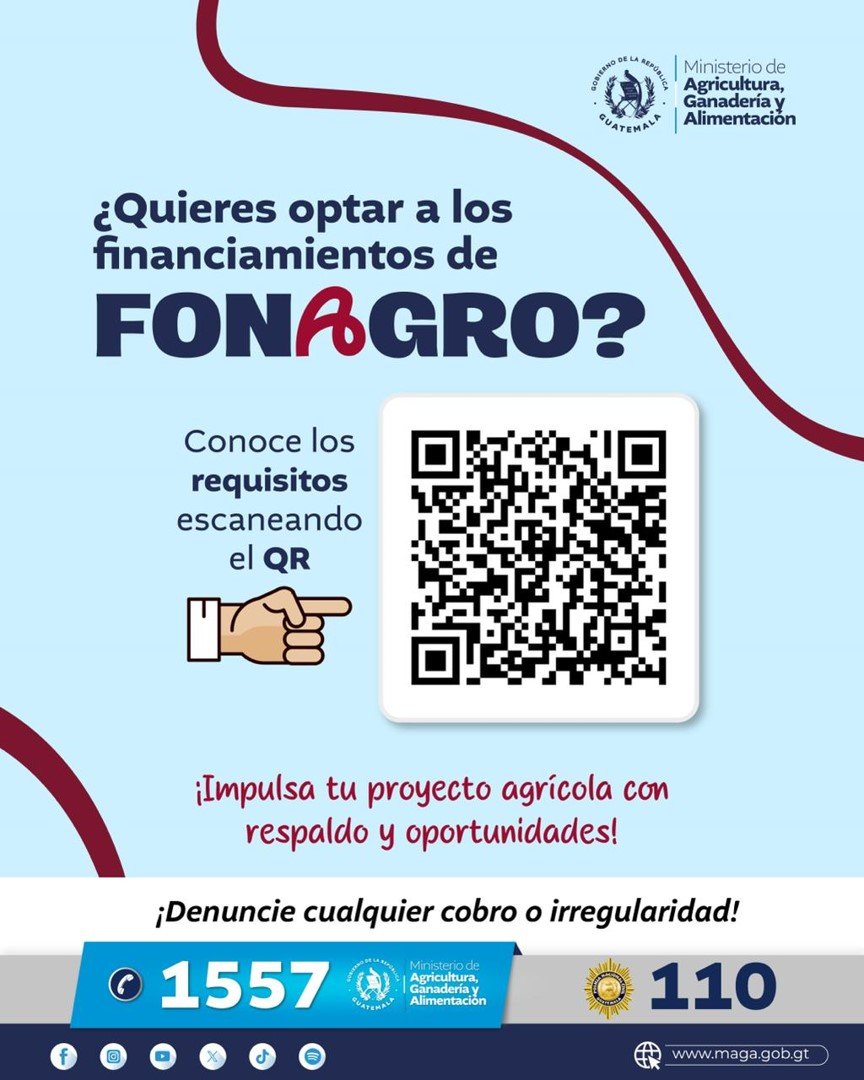 Imagen10