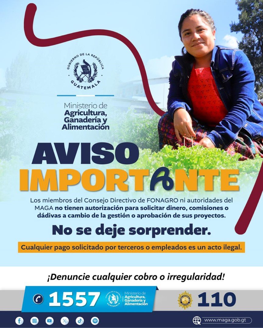 Imagen11