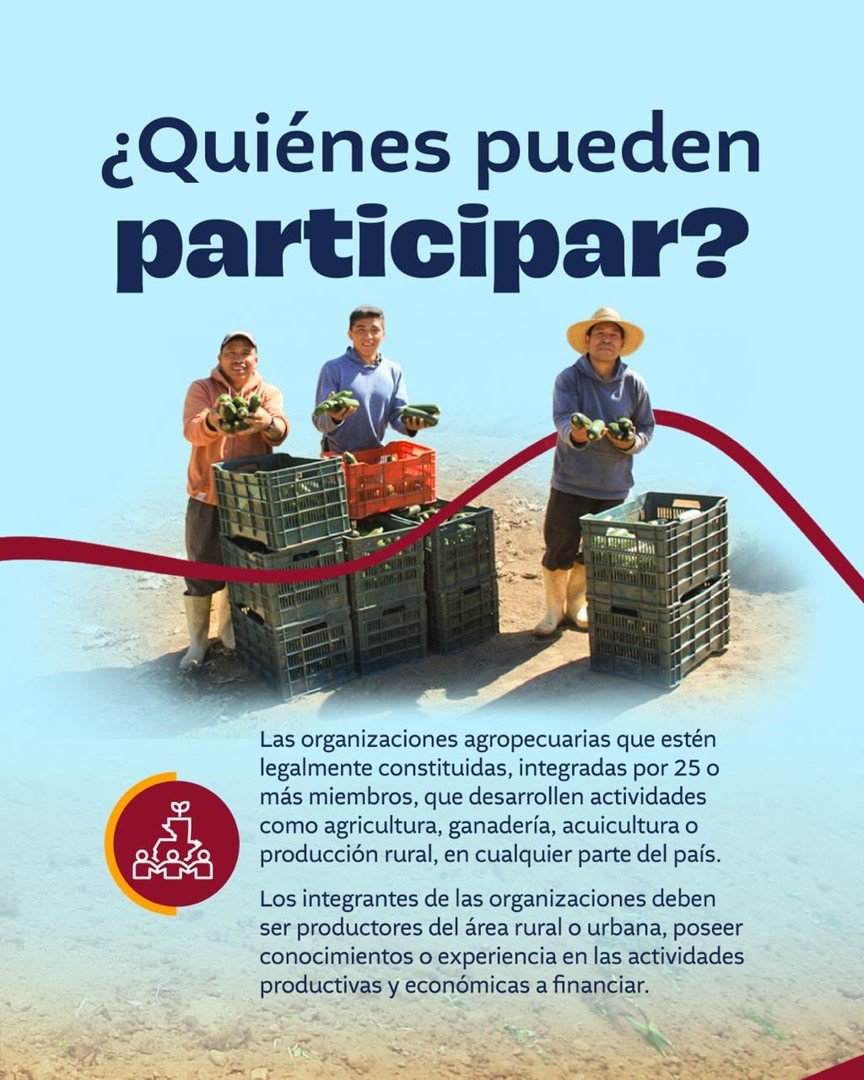 Imagen2