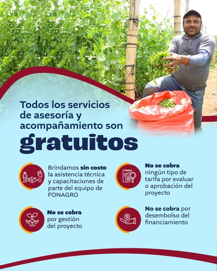 Imagen5