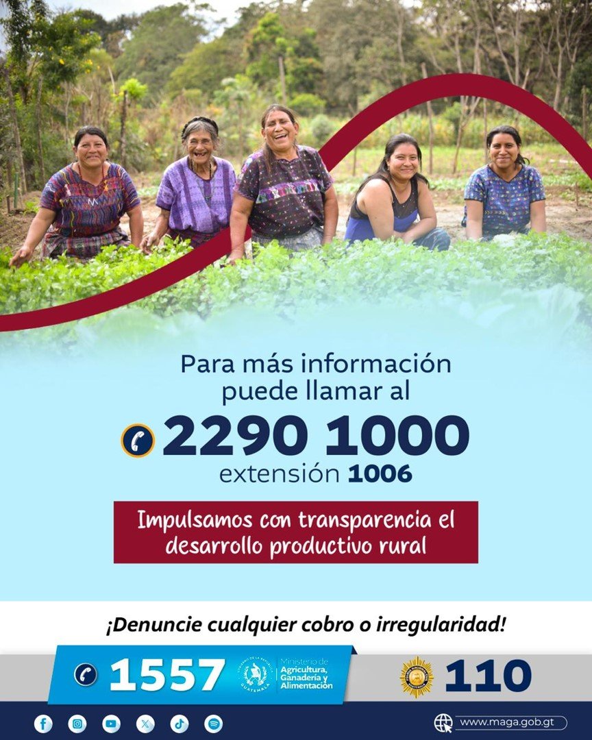 Imagen6