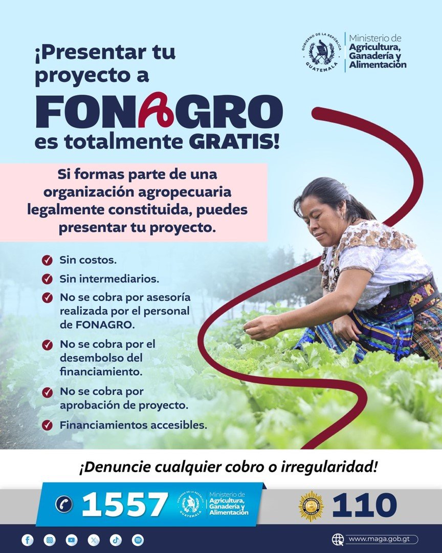 Imagen7