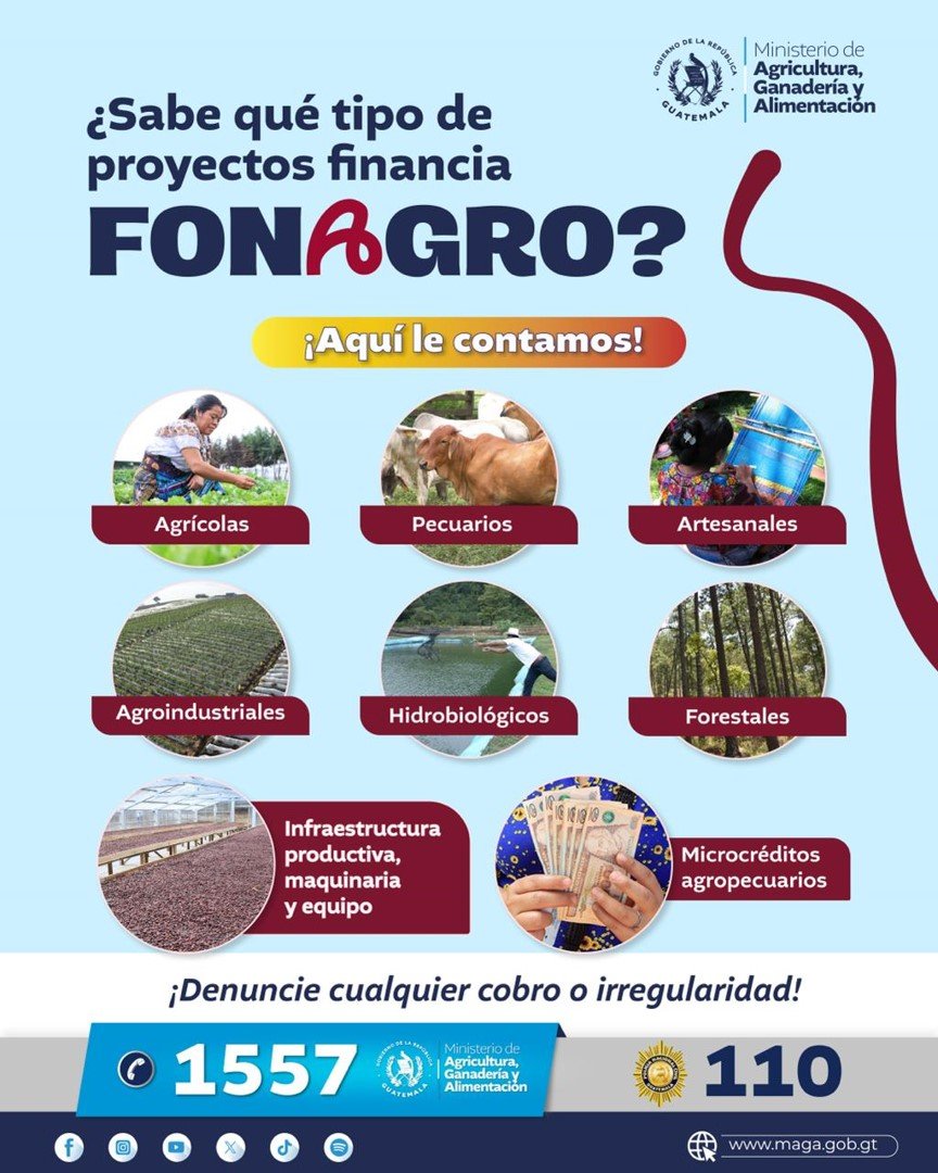 Imagen8