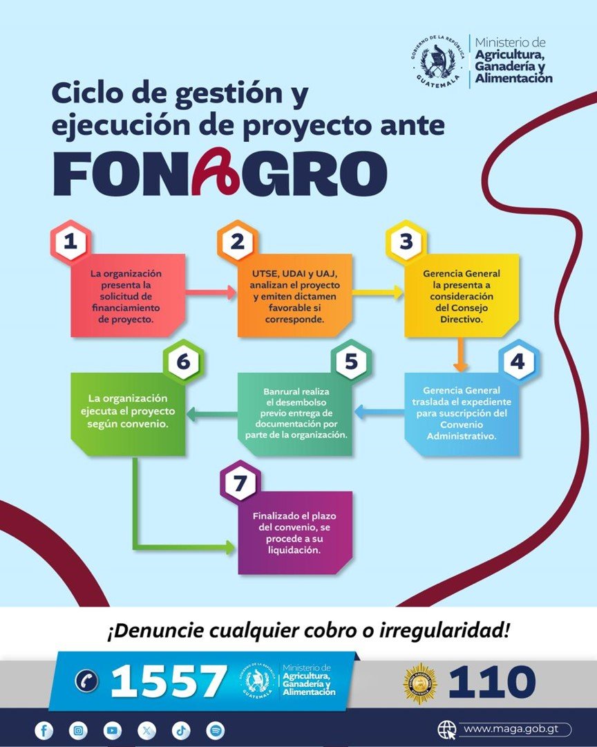Imagen9
